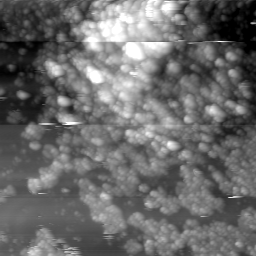 m12465_ori