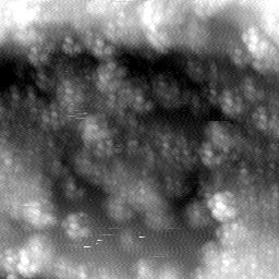 m12468_ori