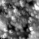 m12468_ori