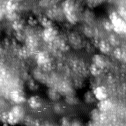 m12468_ori