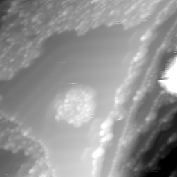 m12474_ori