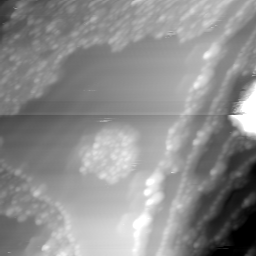 m12474_ori