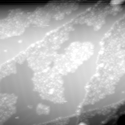 m12475_ori
