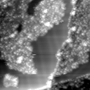 m12476_ori