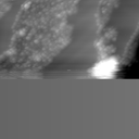 m12477_ori