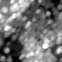 m12481_ori