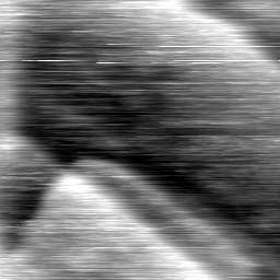 m1274_ori