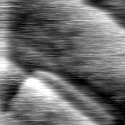 m1274_ori