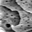 m1279_ori