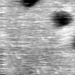 m1281_ori