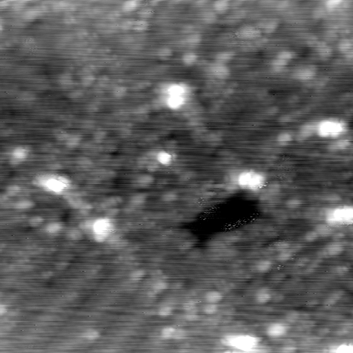 m12931_ori