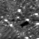 m12931_ori