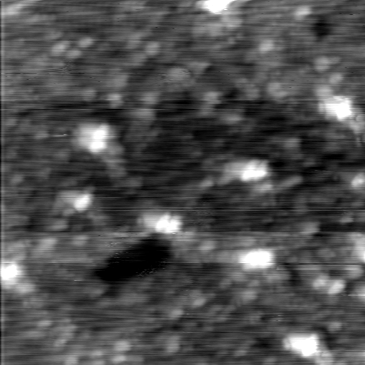 m12933_ori
