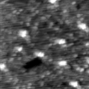 m12933_ori