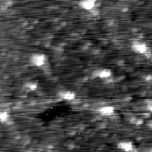 m12934_ori
