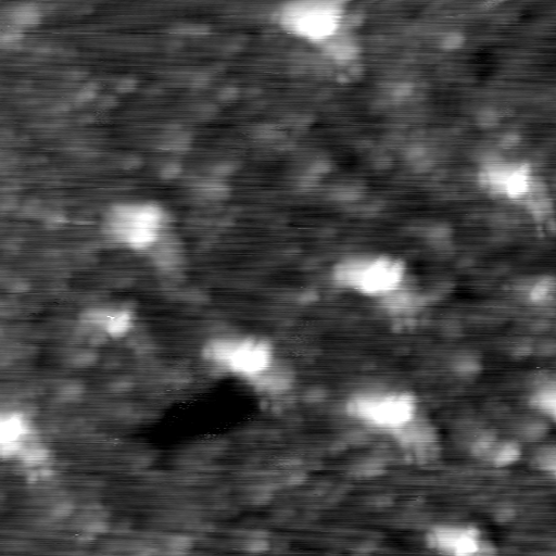 m12935_ori