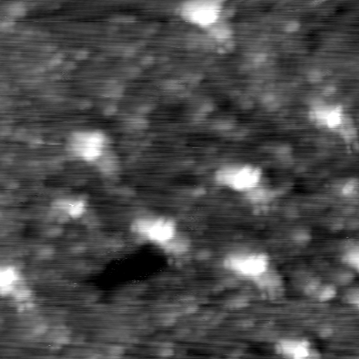 m12935_ori