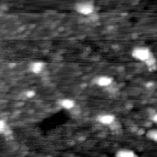 m12937_ori