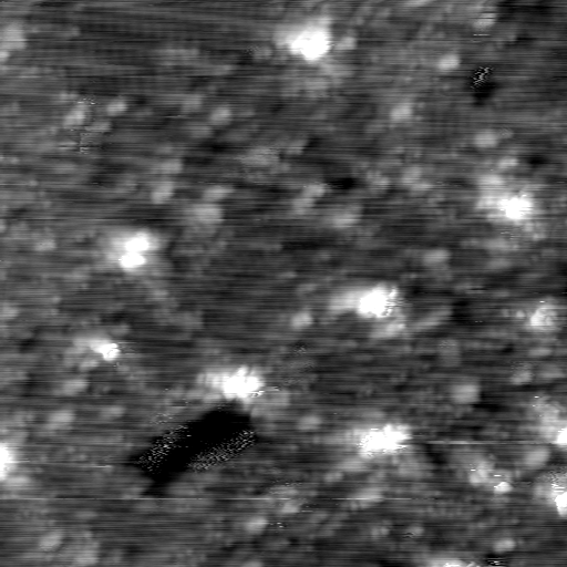 m12938_ori