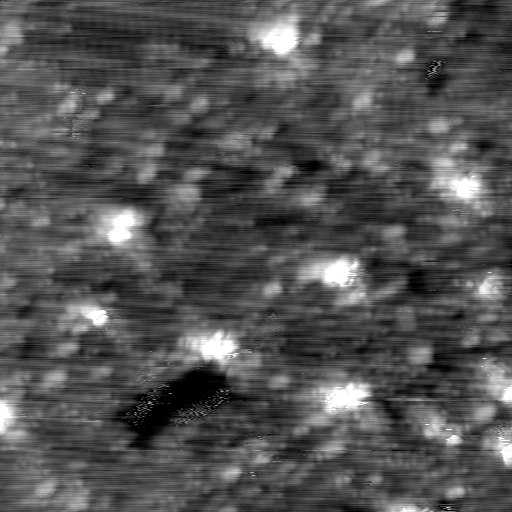 m12938_ori
