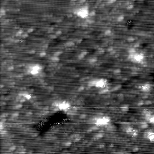 m12939_ori