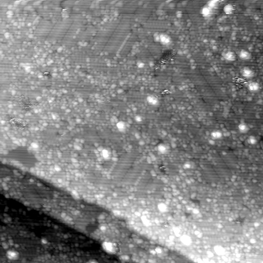 m12942_ori