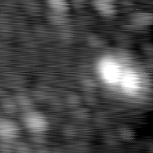 m12944_ori
