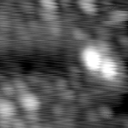 m12944_ori