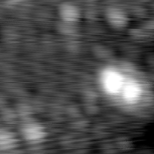 m12945_ori