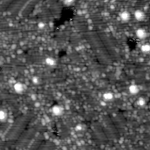 m12946_ori