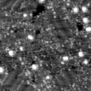 m12946_ori