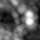 m12950_ori