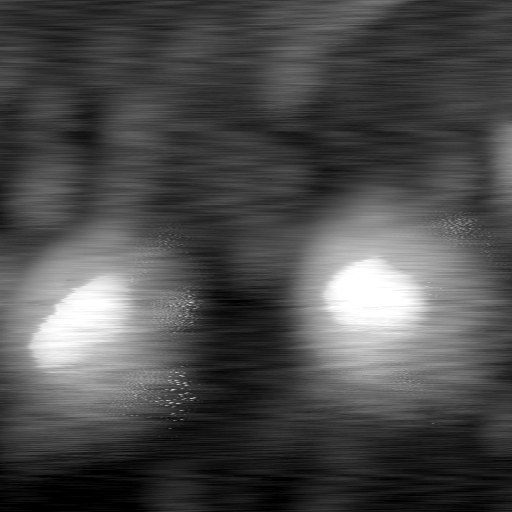 m12951_ori