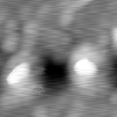 m12951_ori