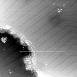 m13997_ori