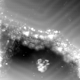 m13999_ori