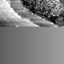 m14001_ori