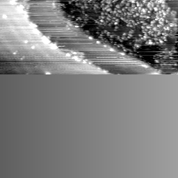 m14001_ori