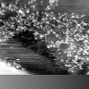 m14002_ori