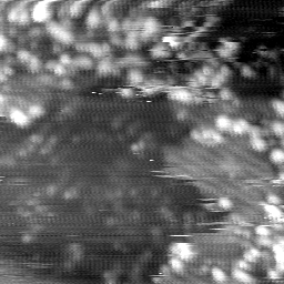 m14003_ori