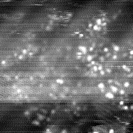 m14005_ori