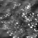 m14005_ori