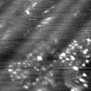 m14006_ori
