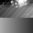 m14007_ori
