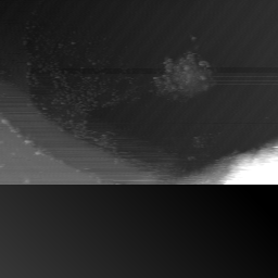 m14008_ori