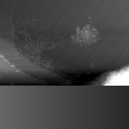 m14008_ori