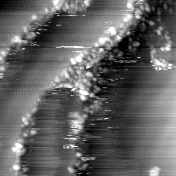m14011_ori