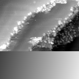 m14012_ori