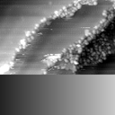 m14012_ori