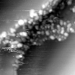 m14013_ori
